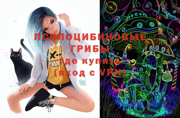spice Вяземский