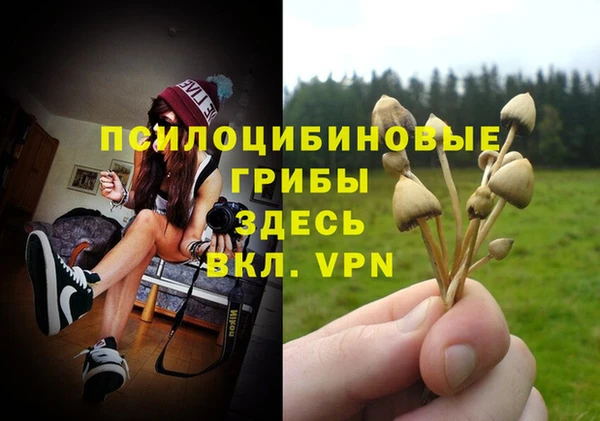 не бодяженный Волосово