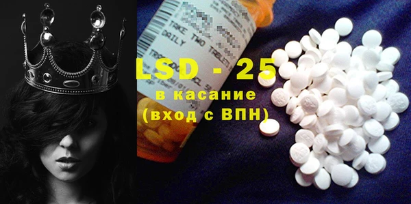 ГАЛЛЮЦИНОГЕННЫЕ ГРИБЫ Слюдянка
